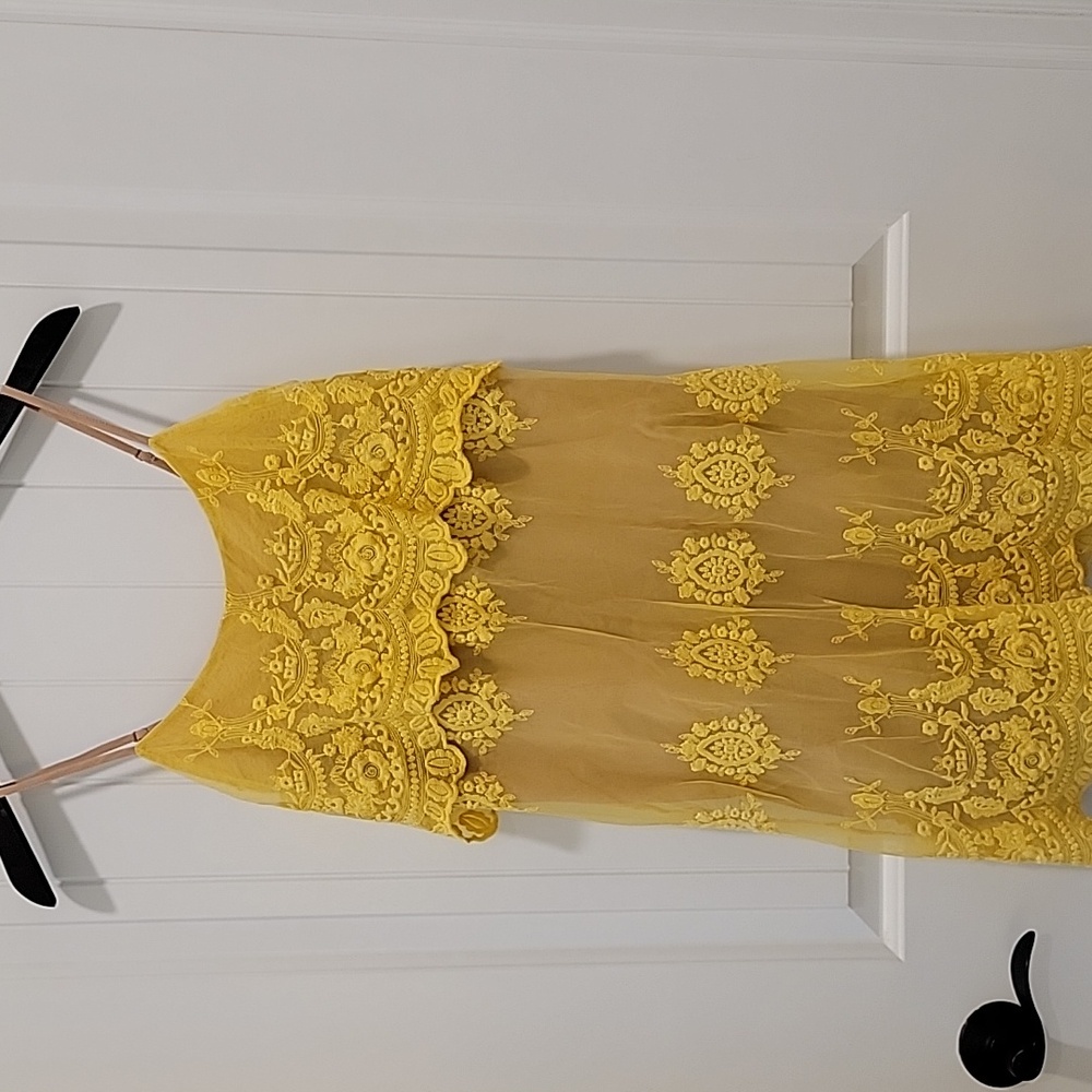 Deja Vu Sleeveless Mini Embroidered Mesh Lace Dress Size Small - Picture 11 of 12